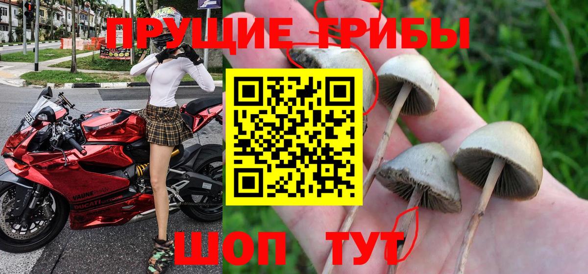 ГЕРОИН Киржач